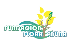 fundacionflorayfauna.org